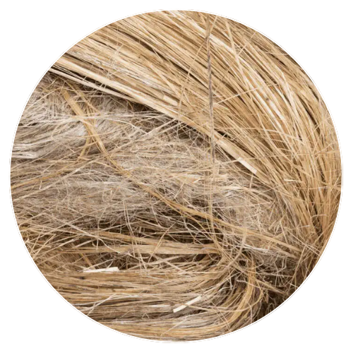 Banana Fiber